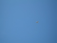 IMG_0022.JPG